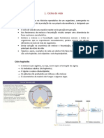 Ciclos de Vida: Haploide, Diploide e Haplodiploide