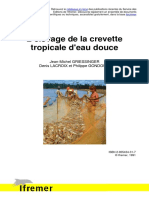 Élevage Crevette