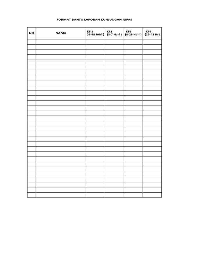 Format Laporan Kunjungan PNC | PDF