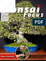 Bonsai Focus 44