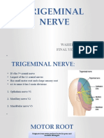Trigeminal Nerve: Waheed Khan Final Year (BDS)