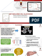 Diapositivas Bioquimica