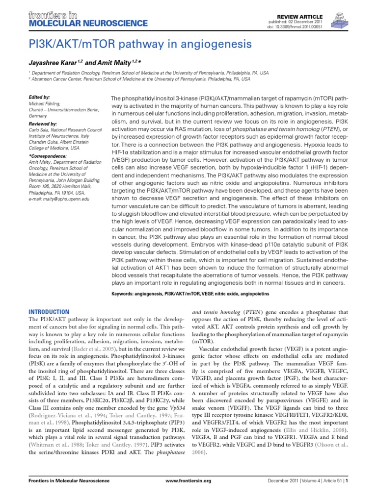 PI3K/AKT/mTOR Pathway in Angiogenesis: Molecular Neuroscience | PDF ...