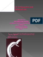 Lecture4 Schitosoma