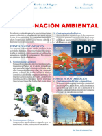 Contaminación Ambiental