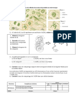 Activite Compactage Adn