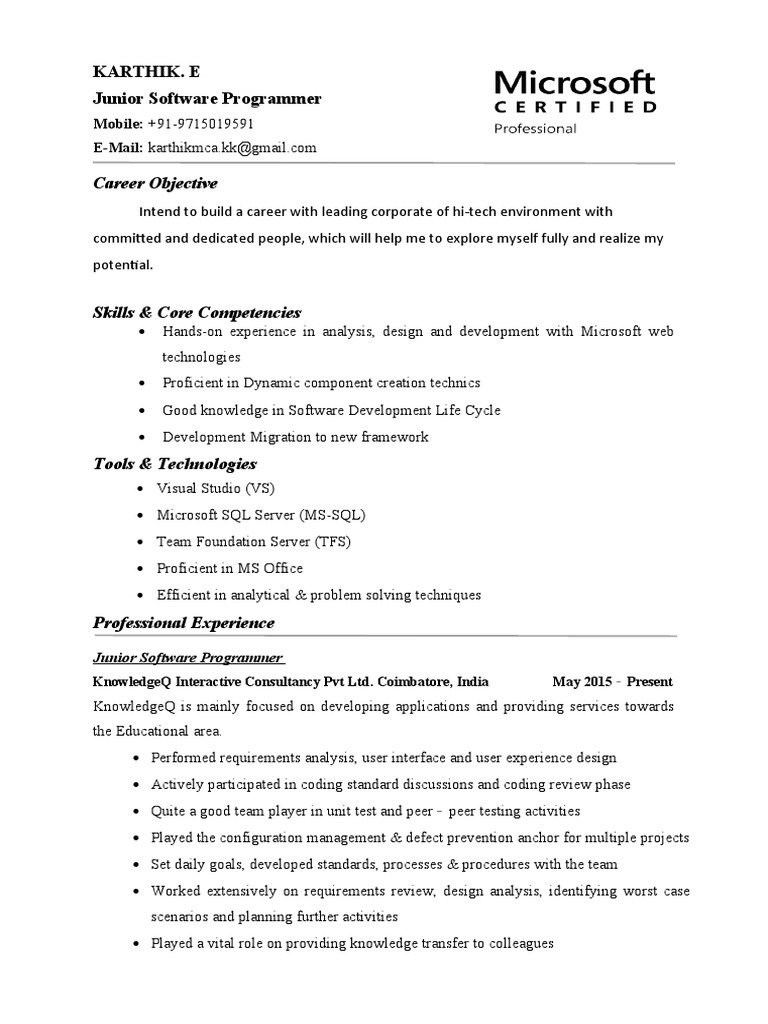 Junior Software Programmer Profile | PDF | World Wide Web | Internet & Web