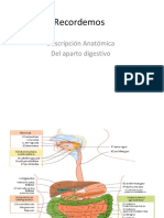 Esofagitis