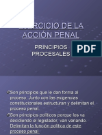 PRINCIPIOS PROCESALES EN EL EJERCICIO DE LA ACCIÓN PENAL (1)