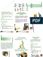 Folleto Manejo de Carga