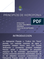 hidroponia-110901165634-phpapp01