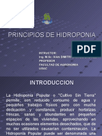 Hidroponia 110901165634 Phpapp01