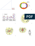 Cours Et Exemples de concours/ispits/S1/Anatomie/3 Fiches Anatomnie La Cellule Suite (1) ...