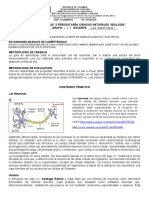 Guia Biologia °10 Las Neuronas