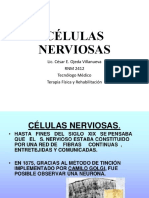 4.células Nerviosas