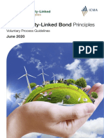 Sustainability-Linked-Bond-Principles-June-2020-171120