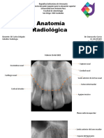 dannacelys anatomia radiografica