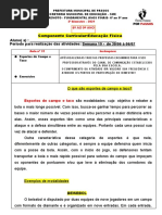 6º AO 9º ANO ED.físiCA - Aula 31 - Esportes de Campo e Taco