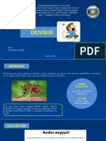 Dengue Diapo