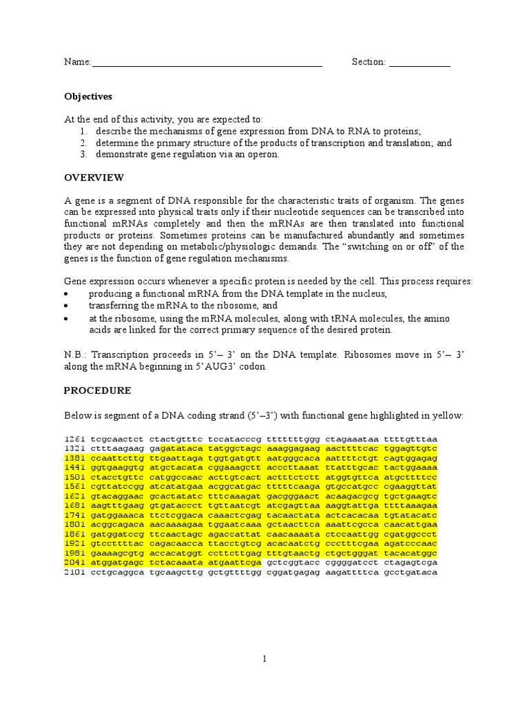 ANSWERS Gene Expression and Regulation PDF Operon Gene