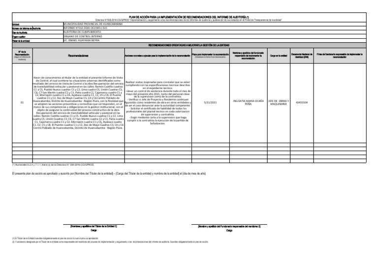 Plan de Acción para La Implementacion | PDF | Auditoría | Contabilidad ...