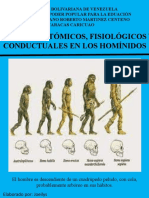 Cambios Anatomicos de Los Hominidos