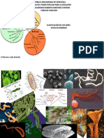 Clasificacion de Los Seres Vivos