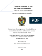 Aplicación de Microorganismos Eficientes en Cacao