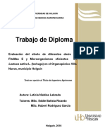 Tesis de Diploma Leticia.doc