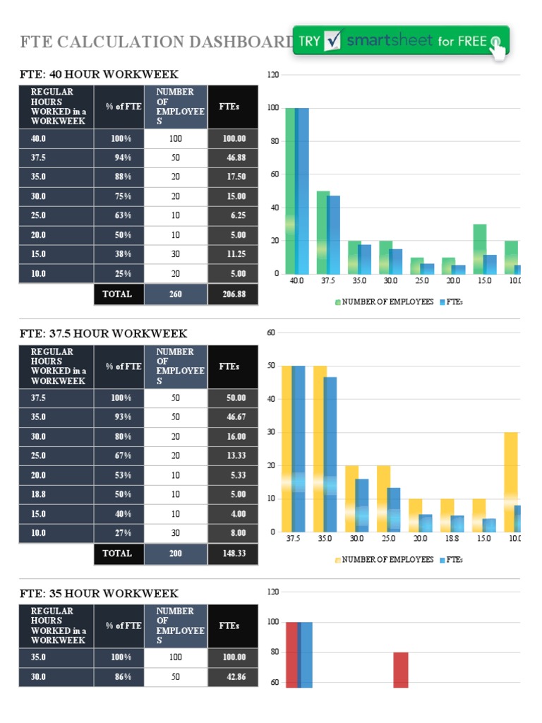 IC Full Time Equivalents FTE Calculation Dashboard Template 9320 PDF