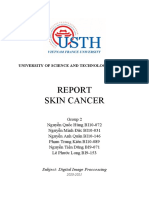Skin Cancer: University of Science and Technology of Hanoi