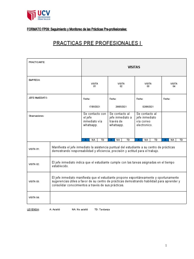 Formato FP09 - B1 | PDF