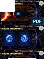 Campos Magneticos SERES VIVOS