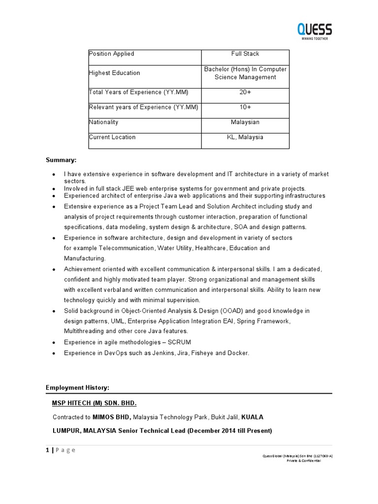 Full Stack Developer with 20+ Years Experience in IT Architecture | PDF ...