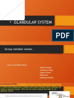 Glandular System