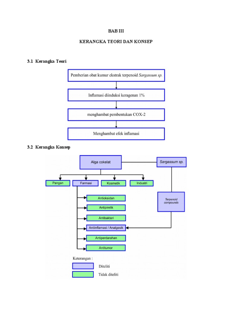 BAB 3 Dan 4 Ical | PDF | Kesehatan Holistik