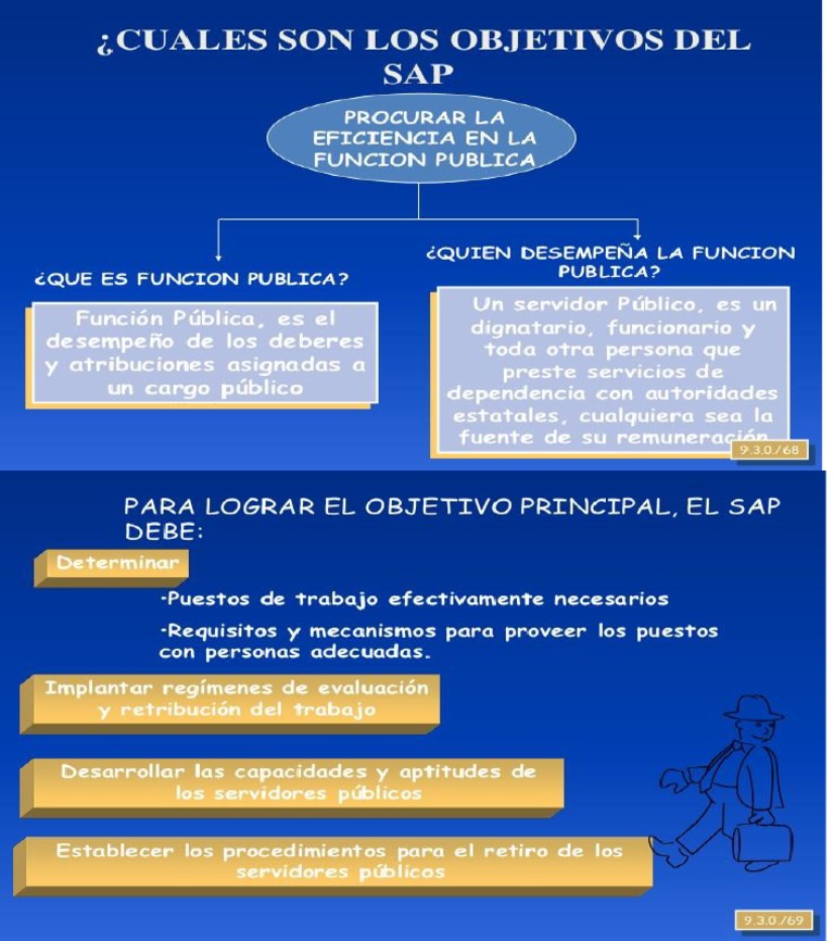 Objetivos Del SAP | PDF
