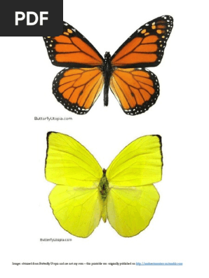 Butterfly Mobile Printable by Midwest Montessori
