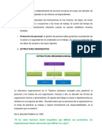 Estructura Organizacional