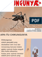Chikungunya Kel 10