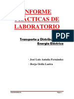 Informe Sobre Transporte y Distribución de Energía Eléctrica