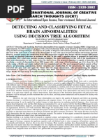 Detecting and Classifying Fetal Brain Abnormalities Using Decision Tree Algorithm