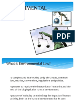 ANDIPA INTRO Environment Laws
