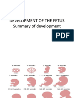 Development of The Fetus