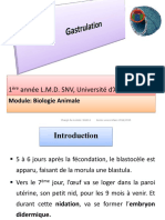 Cours 6 Gastrulation PDF