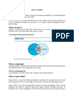 What Is Crime?: Unit 3: Crimes