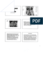 Fisiologi Perkemihan