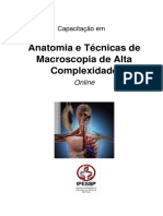 Anatomia e Técnicas de Macroscopia