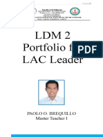 LDM 2 Portfolio for LAC Leader