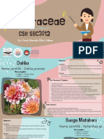 CSR Asteraceae PDF